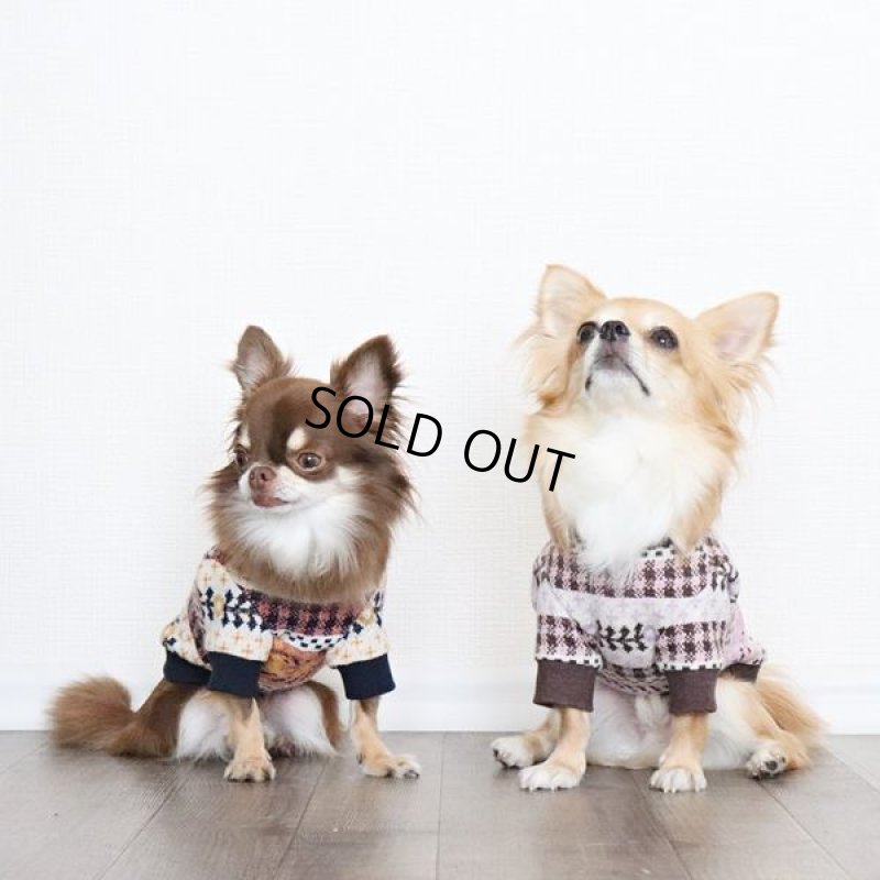 画像9: ネイティブギンガムニット プルオーバー(ポップイエロー) (9)