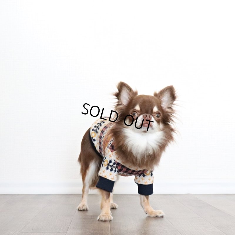 画像5: ネイティブギンガムニット プルオーバー(ポップイエロー) (5)