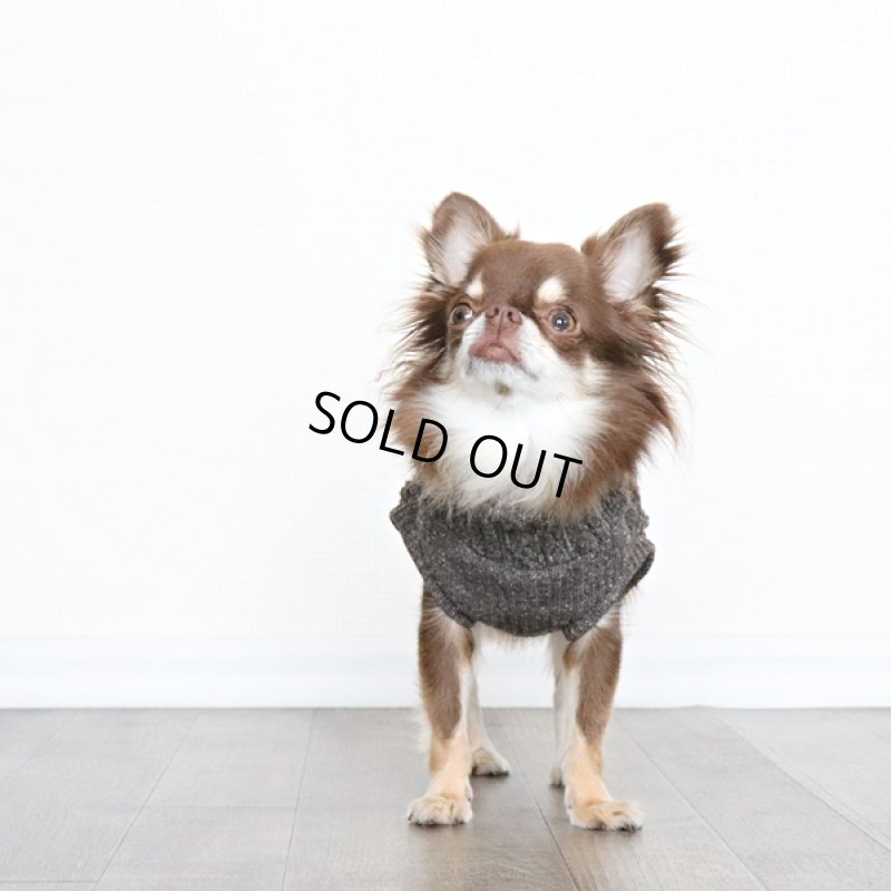 画像5: ジャズネップアランのタートルネック（ビターチョコ） (5)