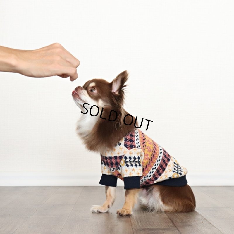 画像6: ネイティブギンガムニット プルオーバー(ポップイエロー) (6)