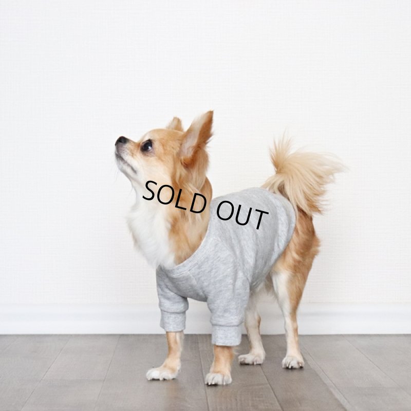 画像10: ヴィンテージ風トレーナー（杢グレー） (10)