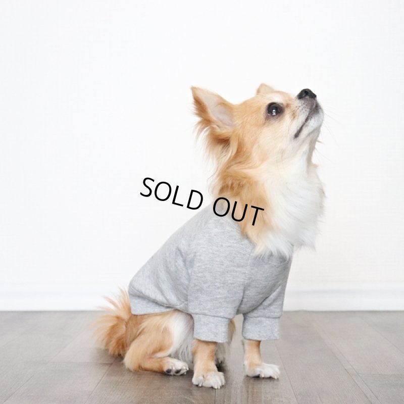 画像9: ヴィンテージ風トレーナー（杢グレー） (9)