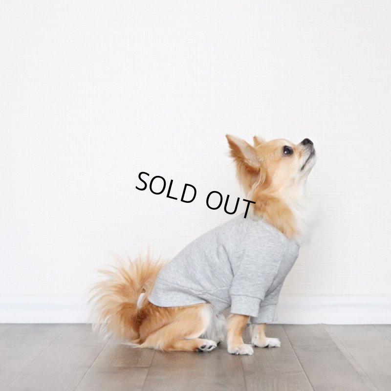 画像2: ヴィンテージ風トレーナー（杢グレー） (2)