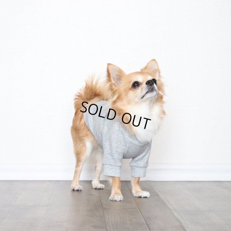 画像3: ヴィンテージ風トレーナー（杢グレー） (3)