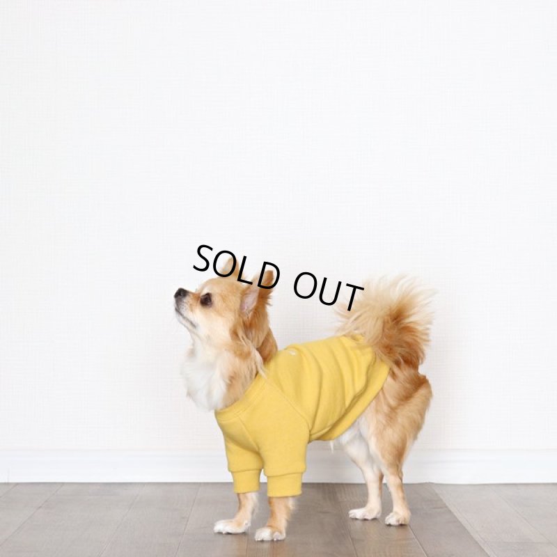 画像10: ヴィンテージ風トレーナー（ミモザ） (10)