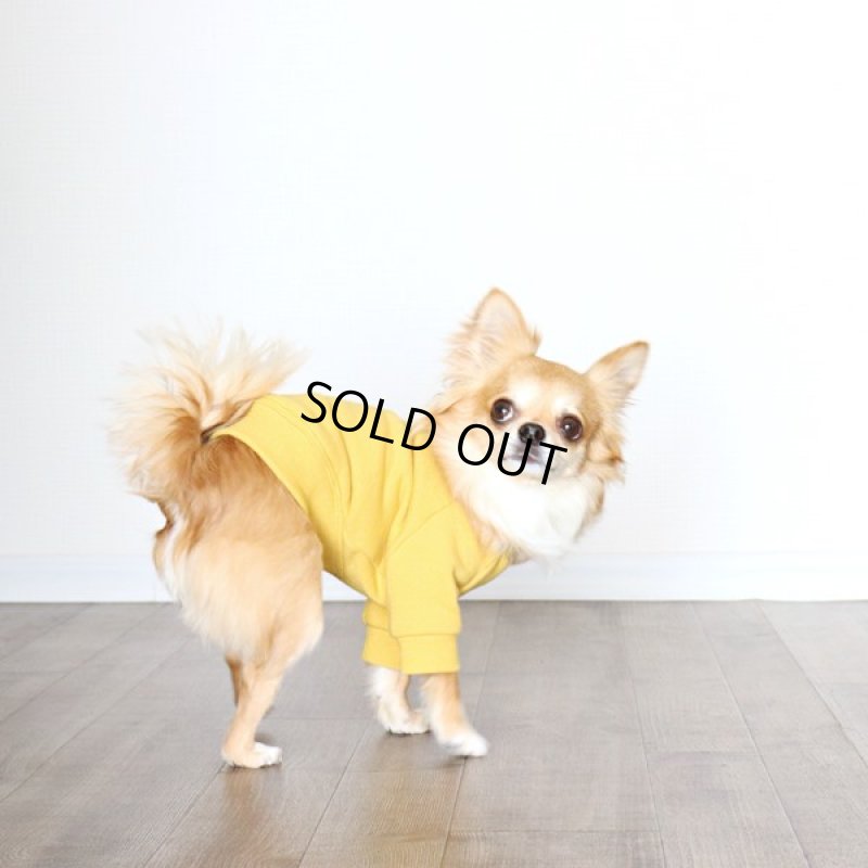 画像12: ヴィンテージ風トレーナー（ミモザ） (12)