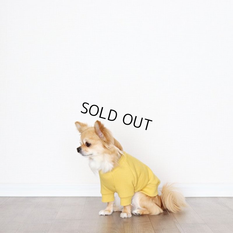 画像9: ヴィンテージ風トレーナー（ミモザ） (9)