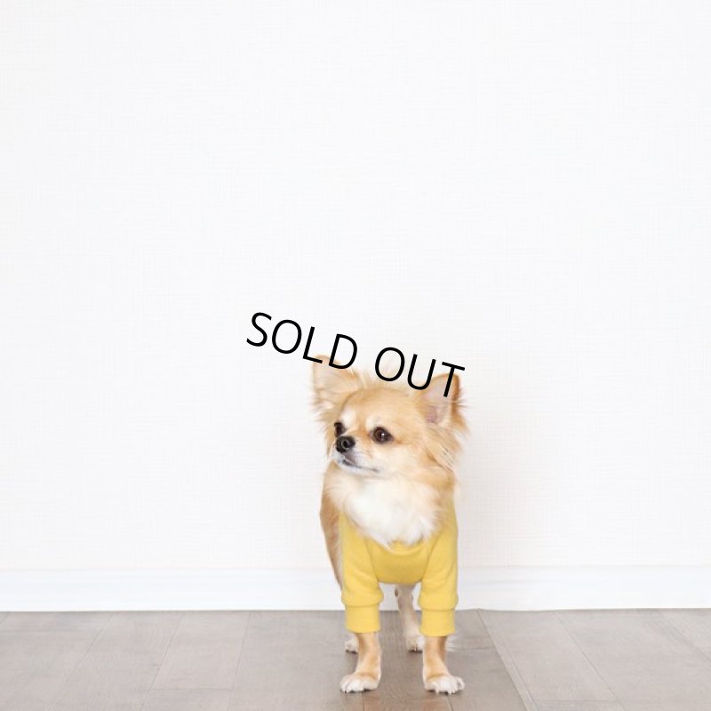 画像8: ヴィンテージ風トレーナー（ミモザ） (8)