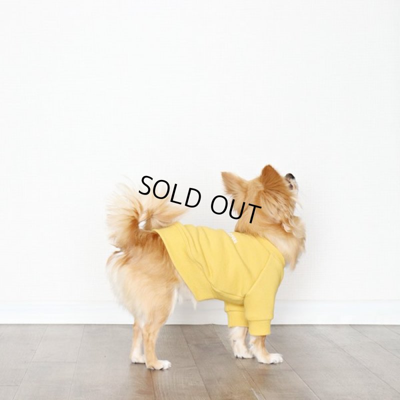 画像2: ヴィンテージ風トレーナー（ミモザ） (2)