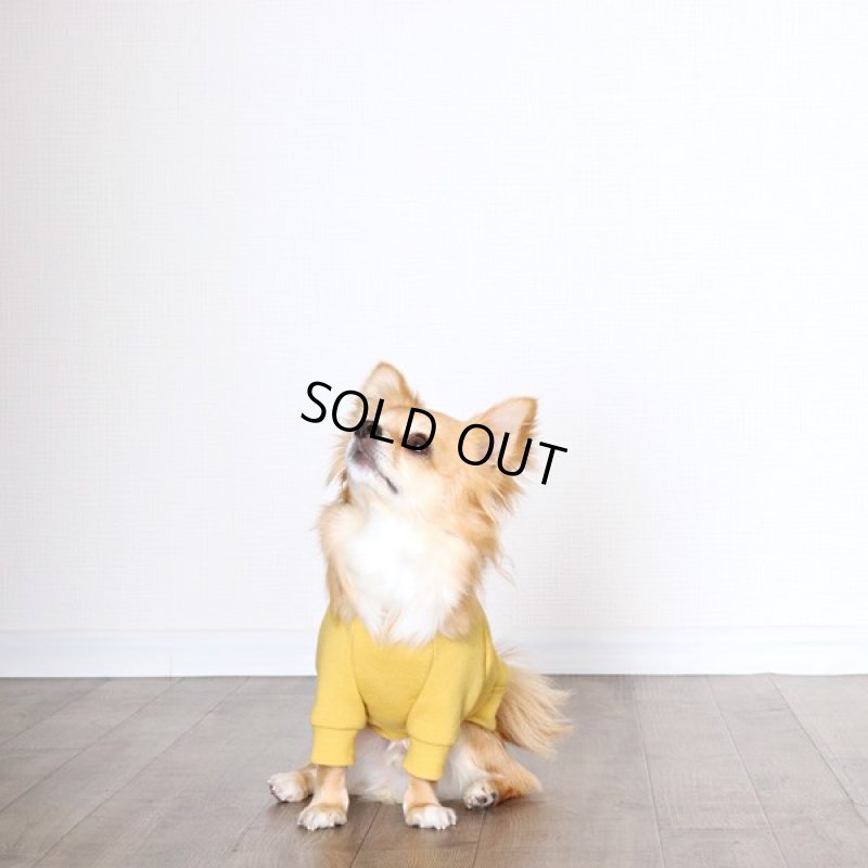 画像7: ヴィンテージ風トレーナー（ミモザ） (7)