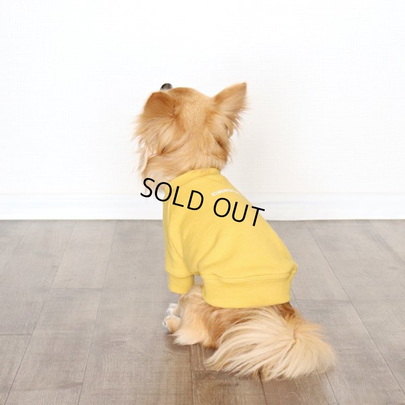 画像13: ヴィンテージ風トレーナー（ミモザ） (13)