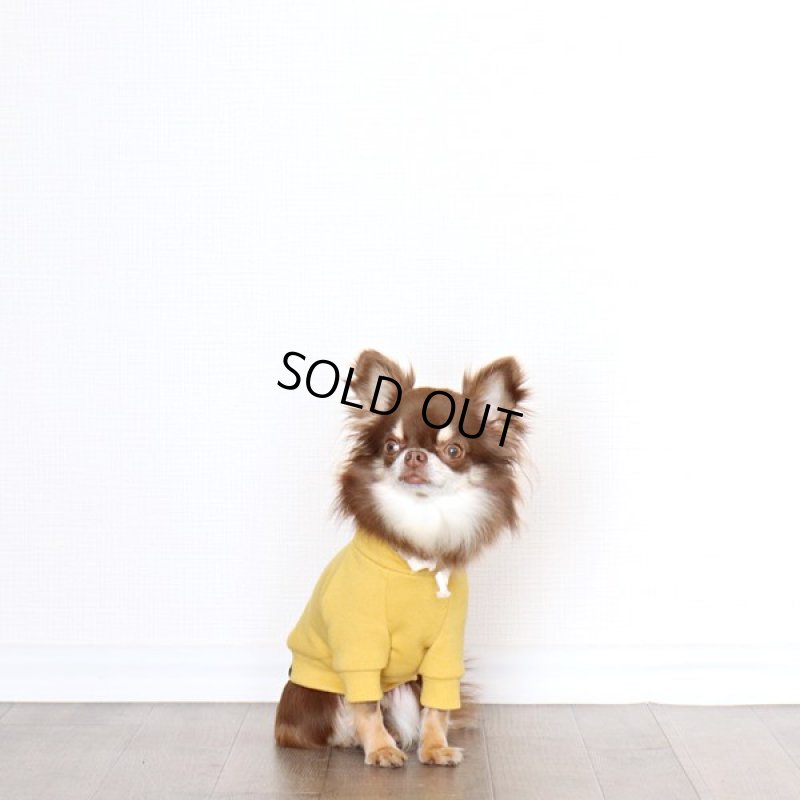 画像8: プルオーバーパーカー ワッフル（ミモザ） (8)