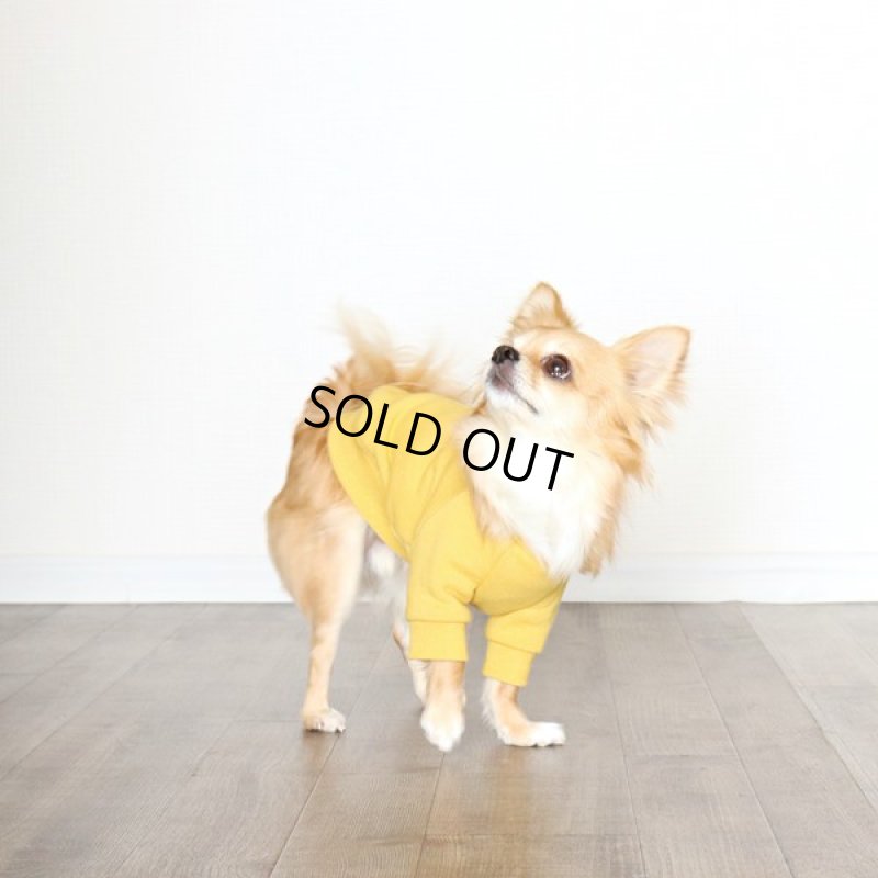 画像6: ヴィンテージ風トレーナー（ミモザ） (6)