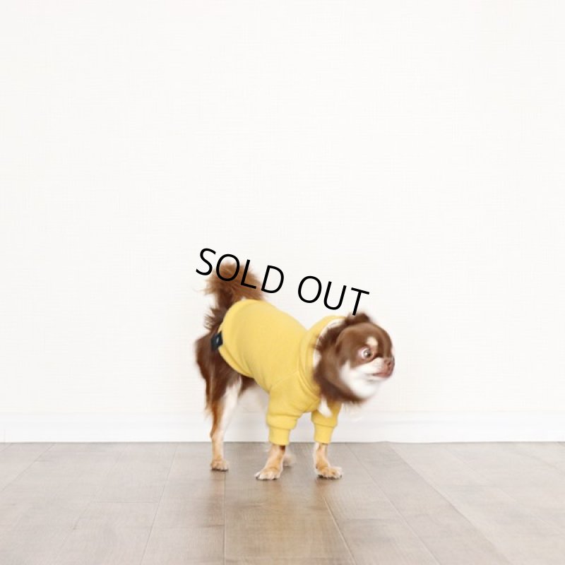 画像6: プルオーバーパーカー ワッフル（ミモザ） (6)