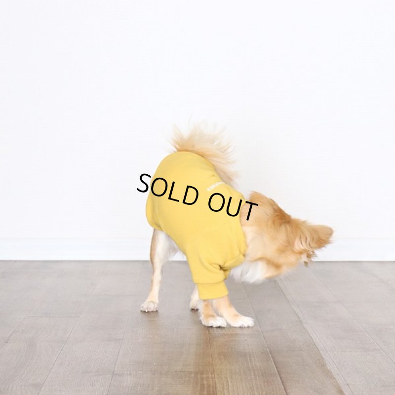 画像5: ヴィンテージ風トレーナー（ミモザ） (5)