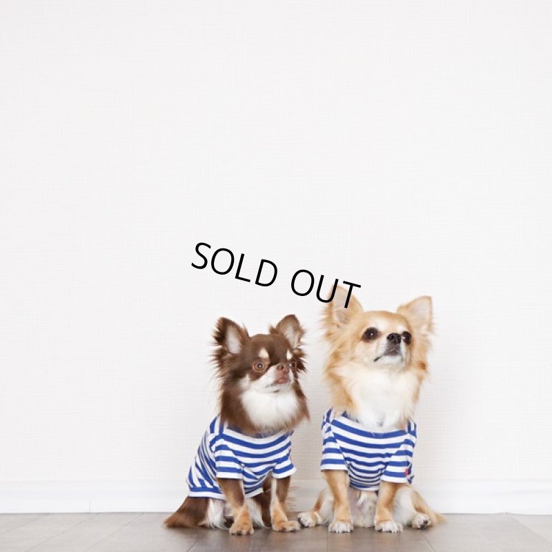 画像12: UVカット生地のボーダーTシャツ（スカイブルー×オフホワイト） (12)