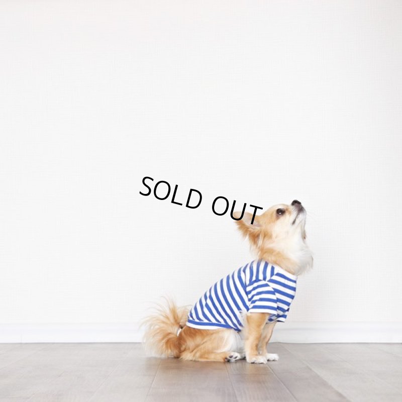 画像10: UVカット生地のボーダーTシャツ（スカイブルー×オフホワイト） (10)