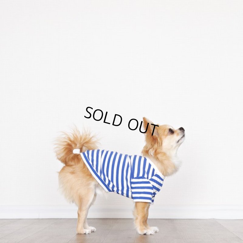 画像11: UVカット生地のボーダーTシャツ（スカイブルー×オフホワイト） (11)