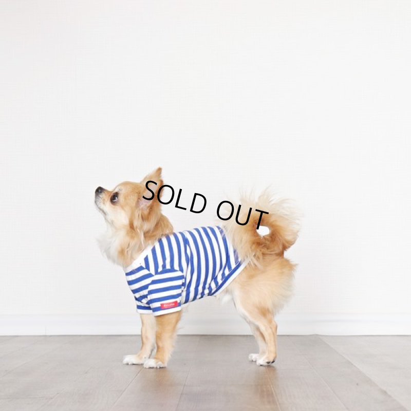 画像9: UVカット生地のボーダーTシャツ（スカイブルー×オフホワイト） (9)