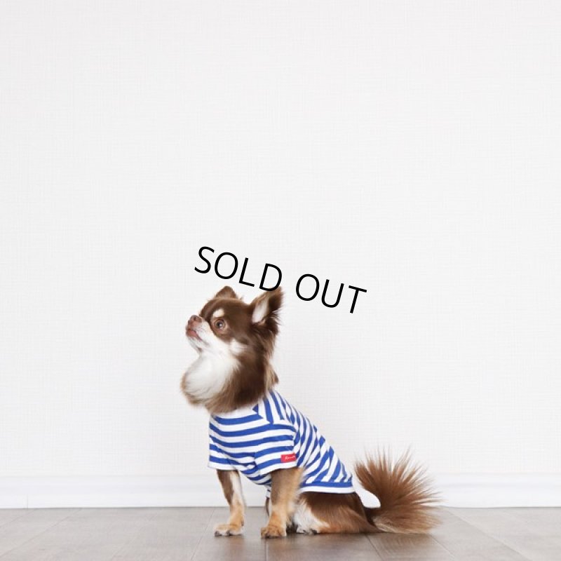 画像5: UVカット生地のボーダーTシャツ（スカイブルー×オフホワイト） (5)