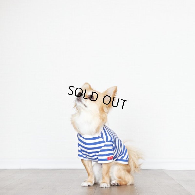 画像8: UVカット生地のボーダーTシャツ（スカイブルー×オフホワイト） (8)