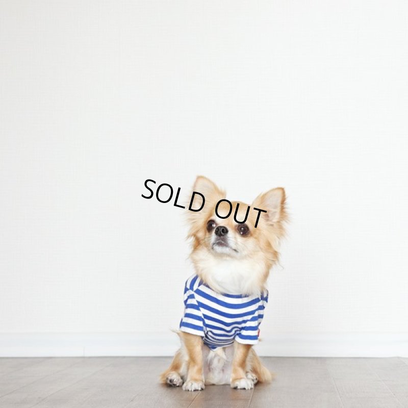 画像7: UVカット生地のボーダーTシャツ（スカイブルー×オフホワイト） (7)