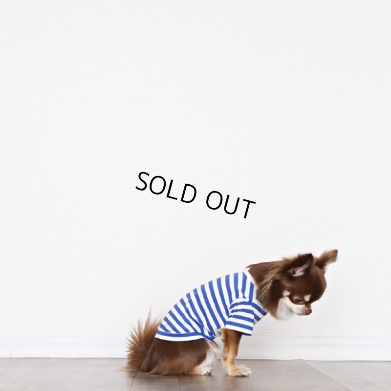 画像2: UVカット生地のボーダーTシャツ（スカイブルー×オフホワイト） (2)