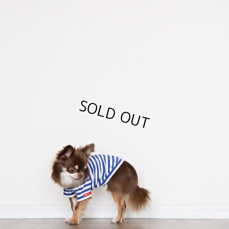 画像6: UVカット生地のボーダーTシャツ（スカイブルー×オフホワイト） (6)