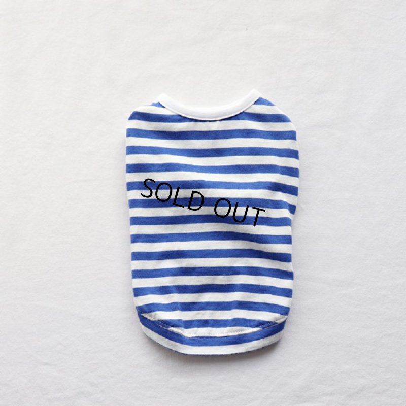 画像16: UVカット生地のボーダーTシャツ（スカイブルー×オフホワイト） (16)