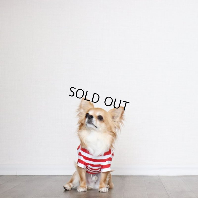 画像4: 蚊よけ＆冷感生地のボーダーTシャツ（レッド×ホワイト） (4)