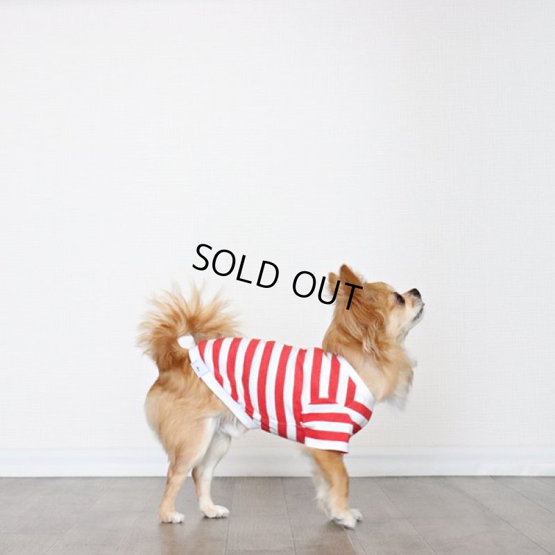 画像3: 蚊よけ＆冷感生地のボーダーTシャツ（レッド×ホワイト） (3)