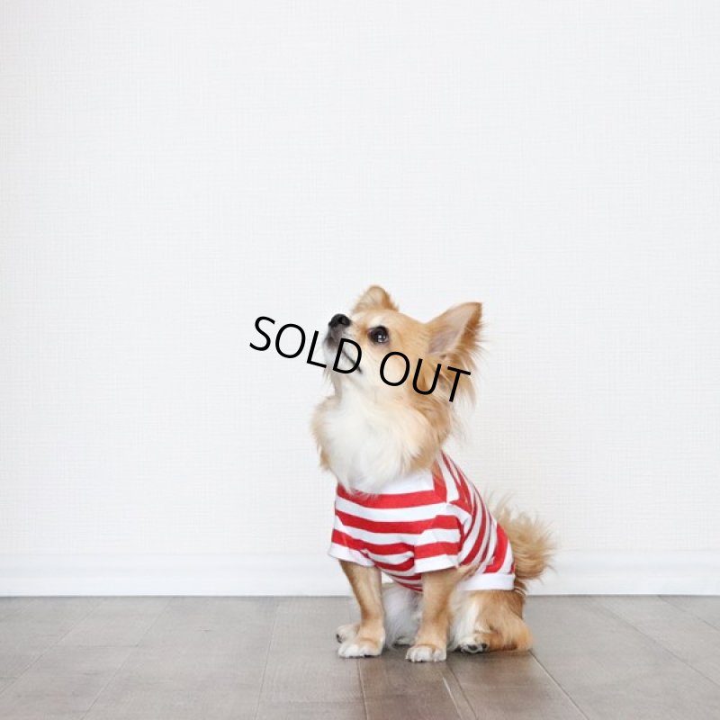 画像6: 蚊よけ＆冷感生地のボーダーTシャツ（レッド×ホワイト） (6)