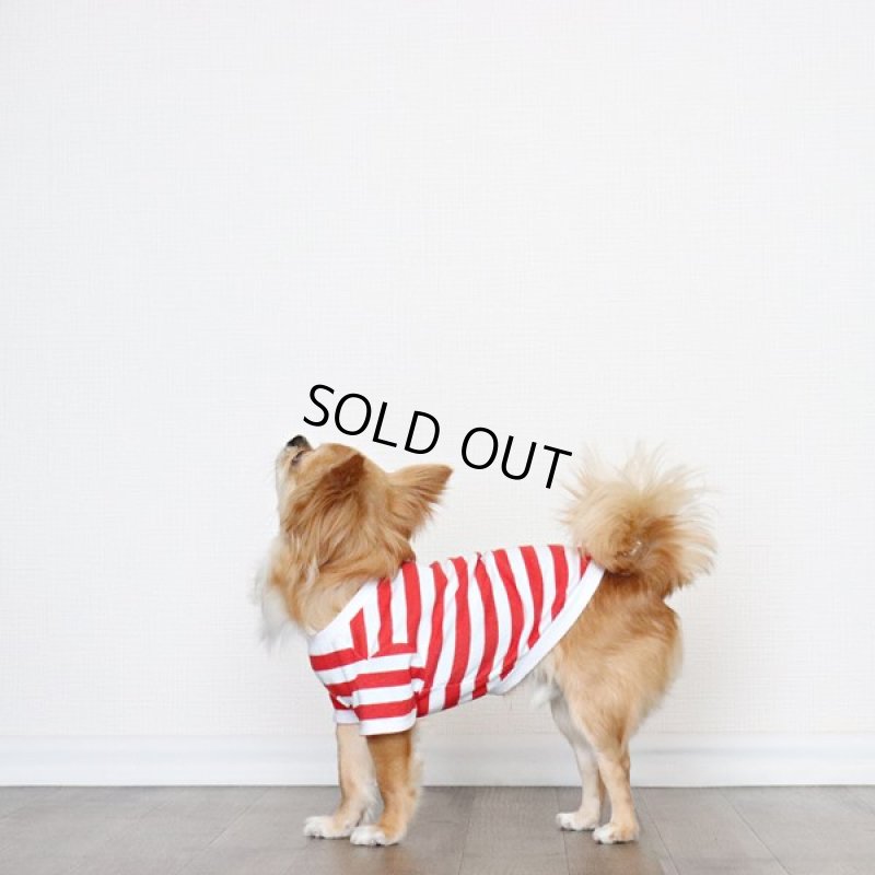 画像7: 蚊よけ＆冷感生地のボーダーTシャツ（レッド×ホワイト） (7)