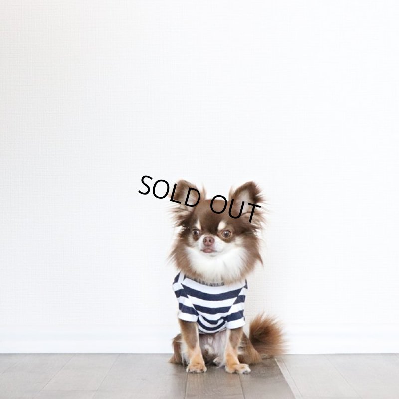 画像4: 蚊よけ＆冷感生地のボーダーTシャツ（ネイビー×ホワイト） (4)