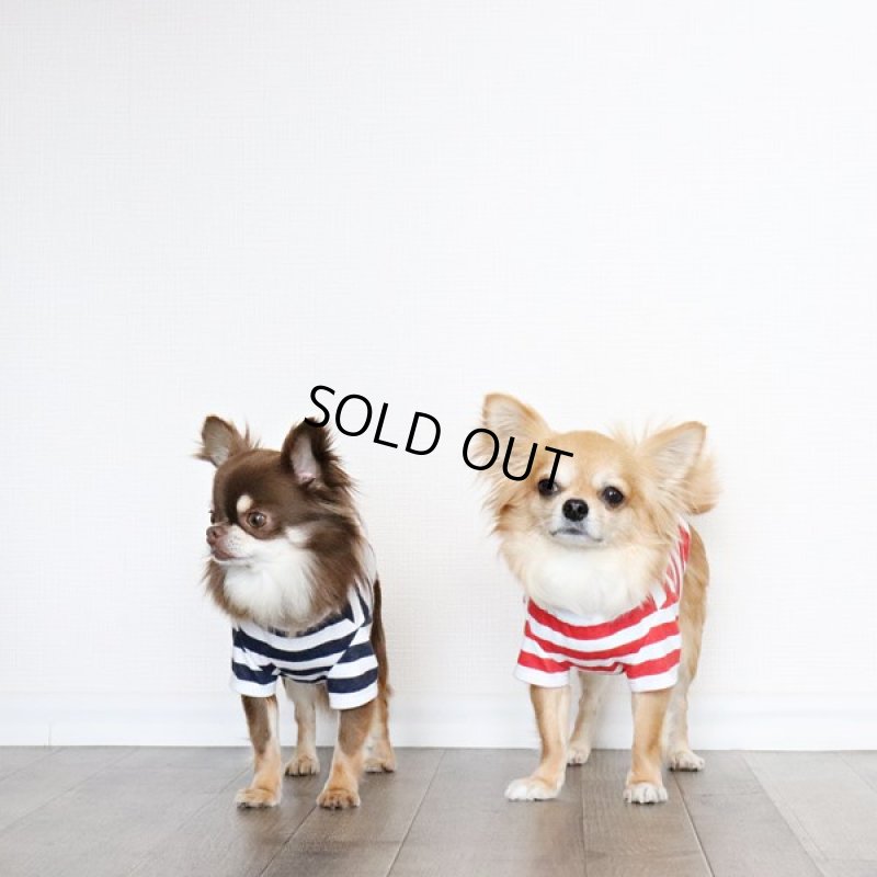 画像10: 蚊よけ＆冷感生地のボーダーTシャツ（レッド×ホワイト） (10)