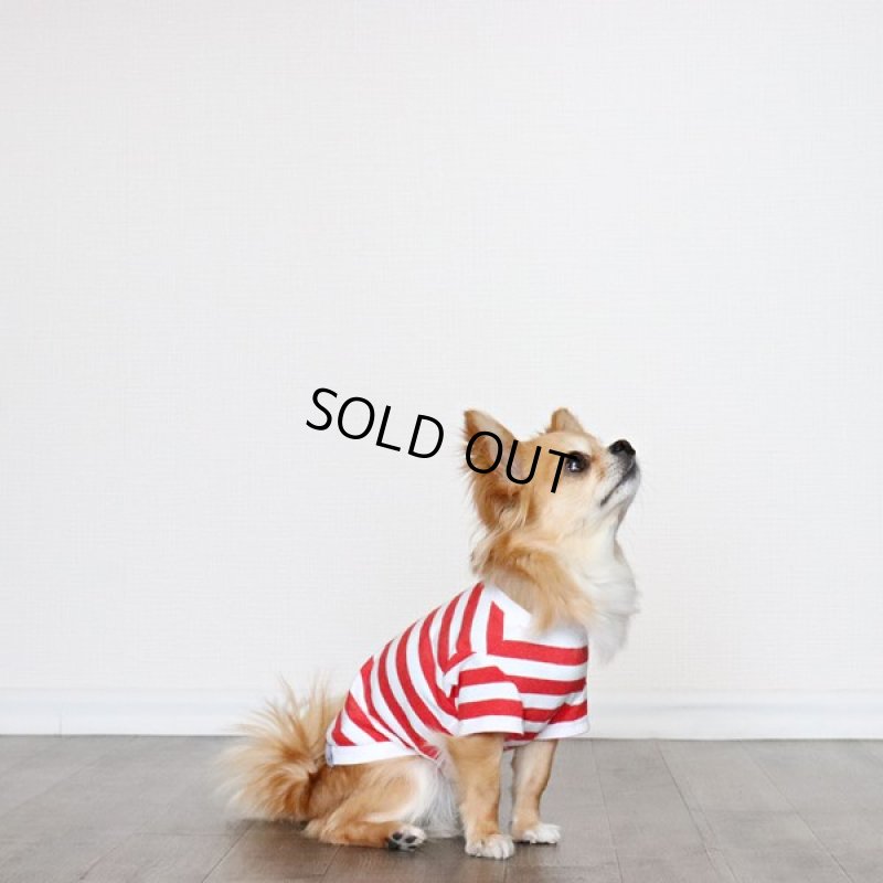 画像2: 蚊よけ＆冷感生地のボーダーTシャツ（レッド×ホワイト） (2)