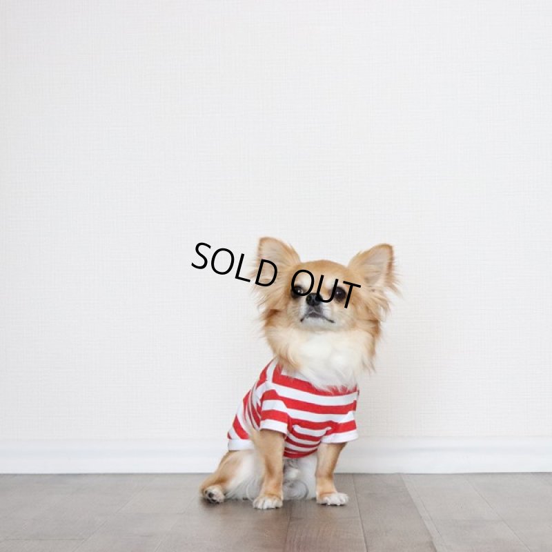 画像8: 蚊よけ＆冷感生地のボーダーTシャツ（レッド×ホワイト） (8)