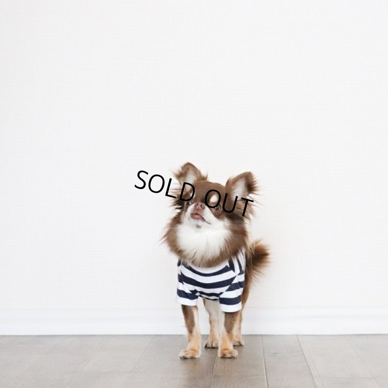 画像5: 蚊よけ＆冷感生地のボーダーTシャツ（ネイビー×ホワイト） (5)