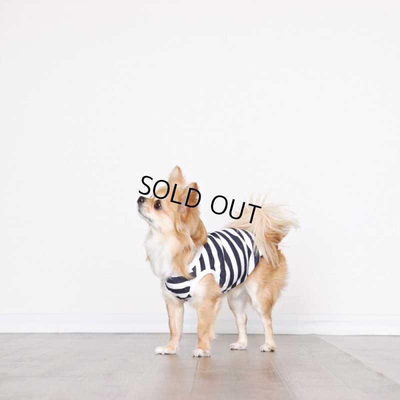 画像8: 蚊よけ＆冷感生地のボーダータンクトップ（ネイビー×ホワイト） (8)