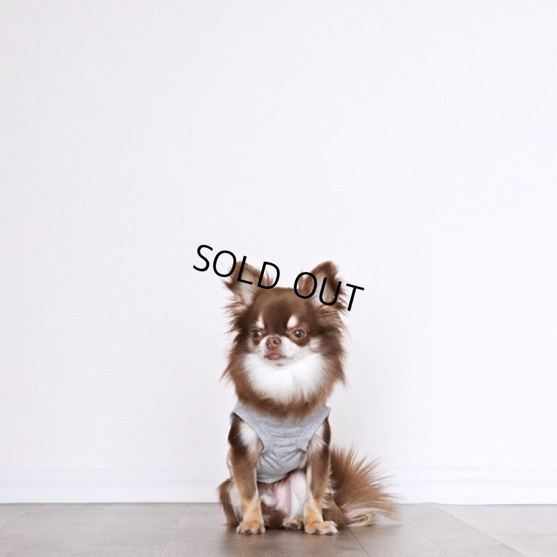 画像4: UVカット&蚊よけ生地のフードつきタンクトップ(グレー×オフホワイト) (4)