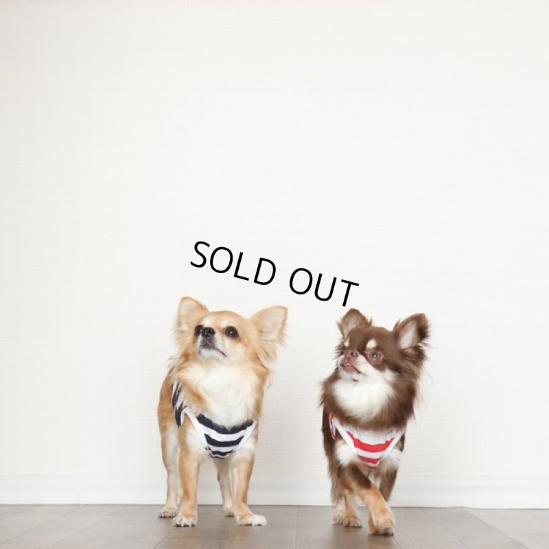 画像12: 蚊よけ＆冷感生地のボーダータンクトップ（ネイビー×ホワイト） (12)