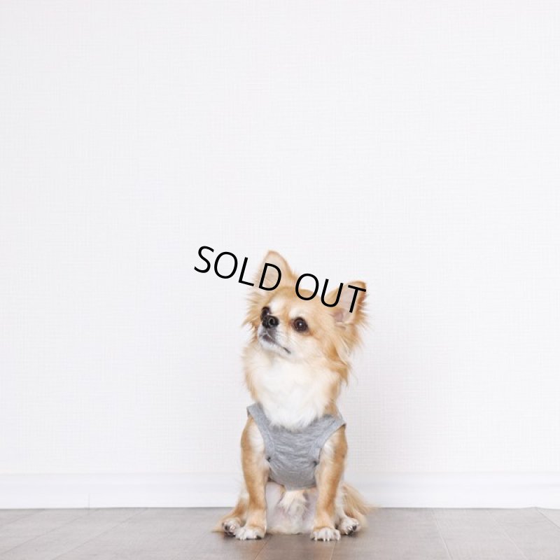 画像12: UVカット&蚊よけ生地のフードつきタンクトップ(グレー×オフホワイト) (12)