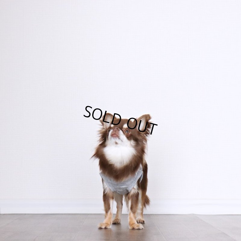 画像5: UVカット&蚊よけ生地のフードつきタンクトップ(グレー×オフホワイト) (5)