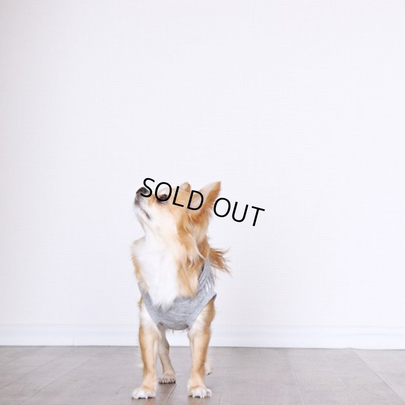 画像13: UVカット&蚊よけ生地のフードつきタンクトップ(グレー×オフホワイト) (13)