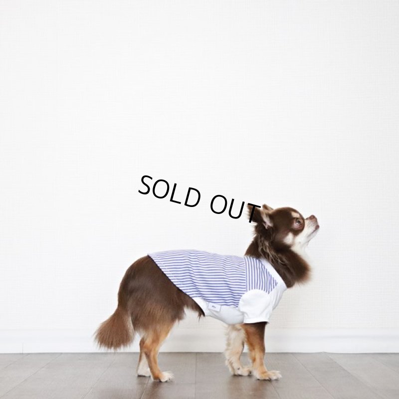 画像7: 異素材ミックス トップス（ブルーストライプ×ホワイト） (7)