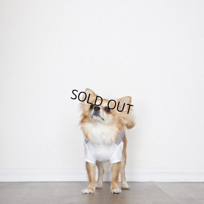 画像11: 異素材ミックス トップス（ブルーストライプ×ホワイト） (11)