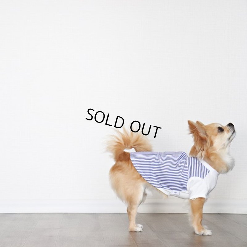 画像13: 異素材ミックス トップス（ブルーストライプ×ホワイト） (13)