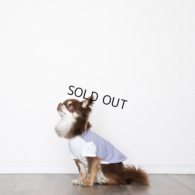 画像2: 異素材ミックス トップス（ブルーストライプ×ホワイト） (2)