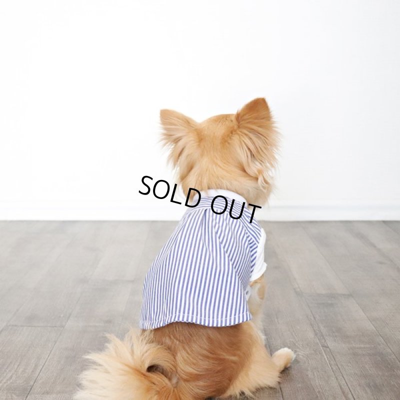 画像14: 異素材ミックス トップス（ブルーストライプ×ホワイト） (14)