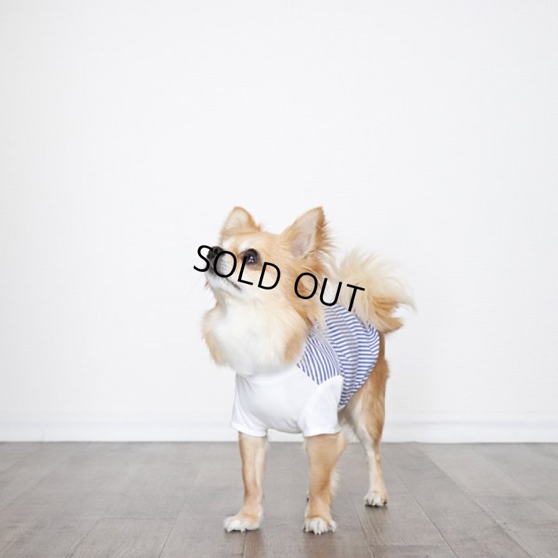 画像9: 異素材ミックス トップス（ブルーストライプ×ホワイト） (9)